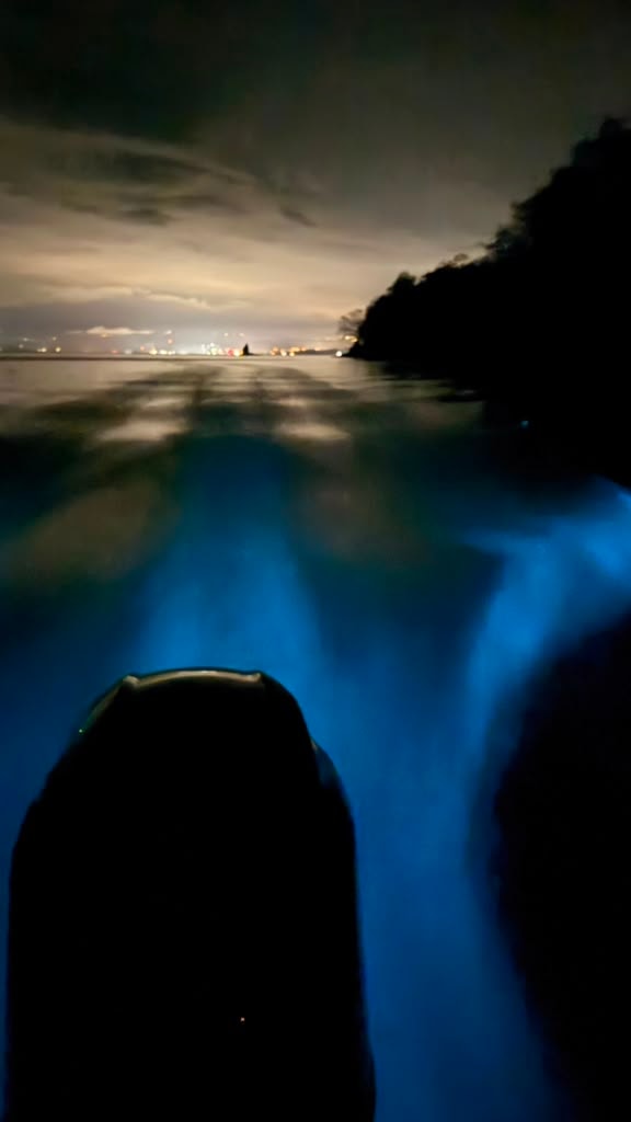 Boat Bioluminescence
