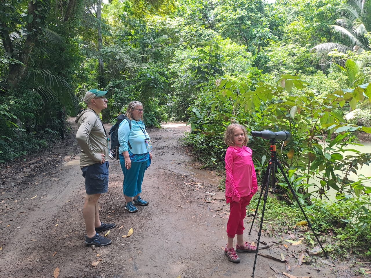 Guided nature walk through the lush rainforest of Costa Rica