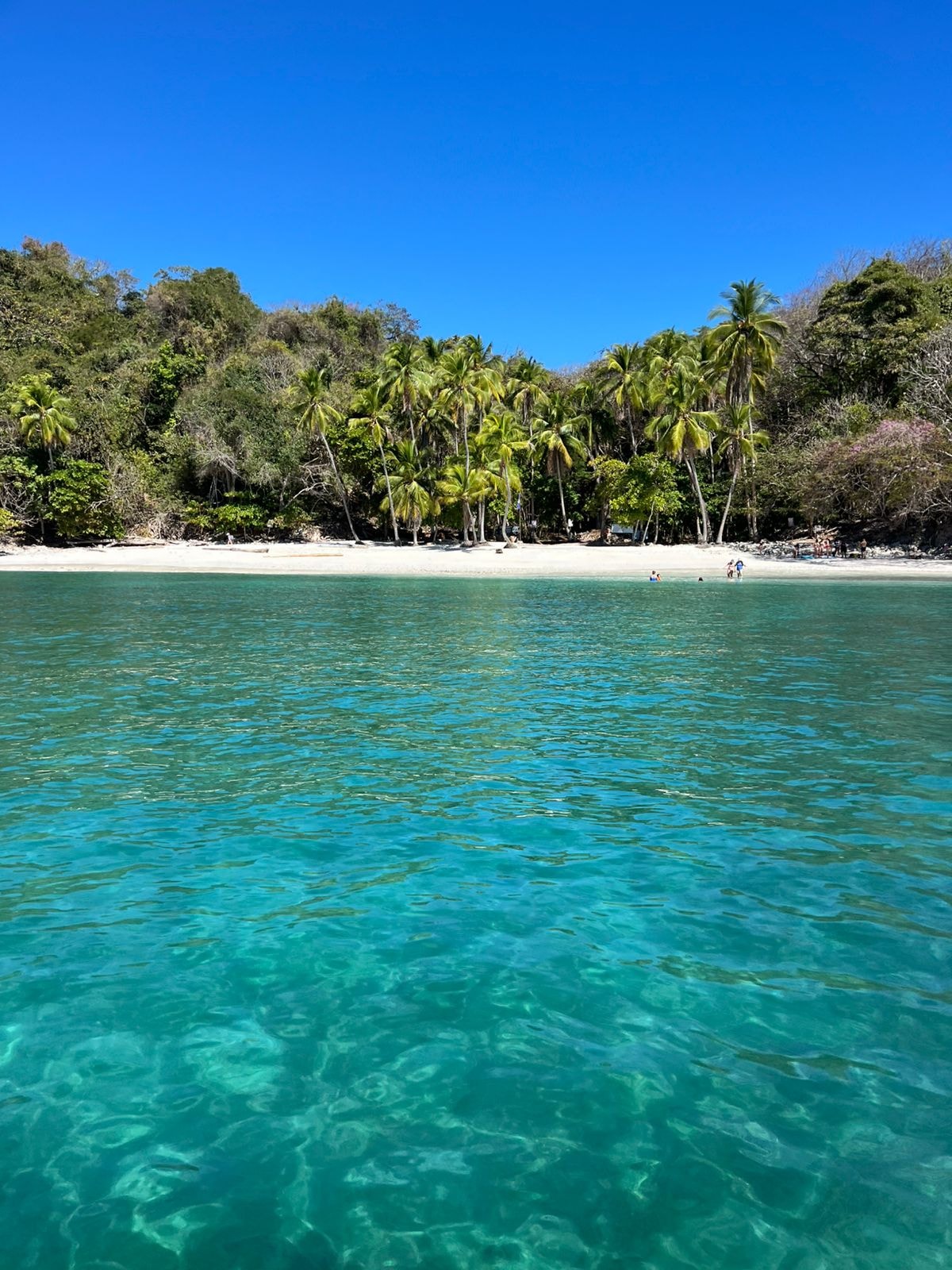 Marine life and ocean tour in the Gulf of Nicoya