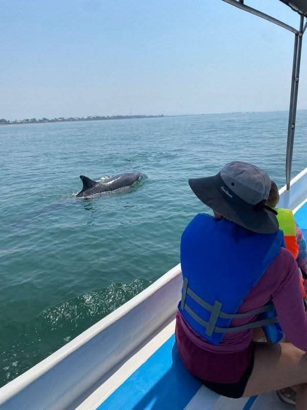 Tropical scenery and wildlife in Paquera Costa Rica