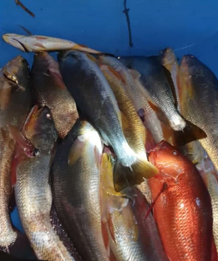 Night Fishing