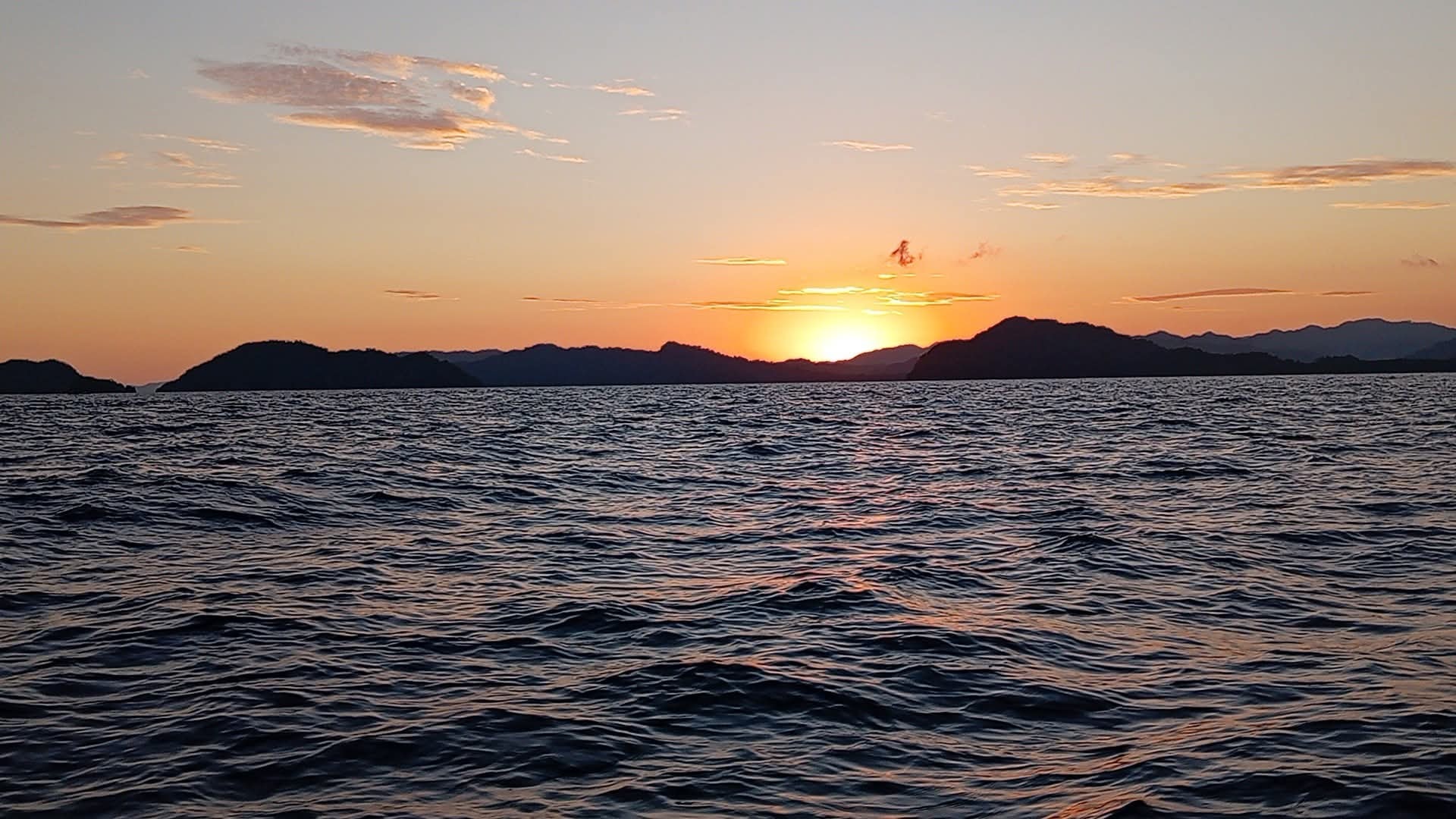 Sunset, Dolphins & Bioluminescence